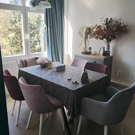 Sophie Dream Apartament